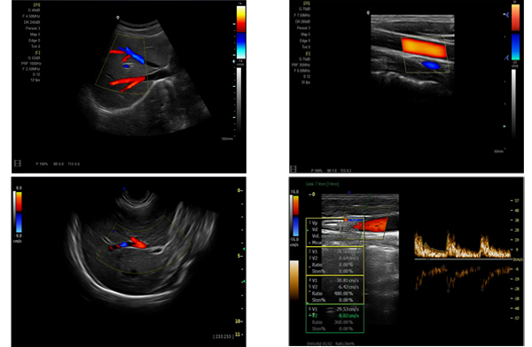 圖像合集6.jpg 圖像合集6.jpg